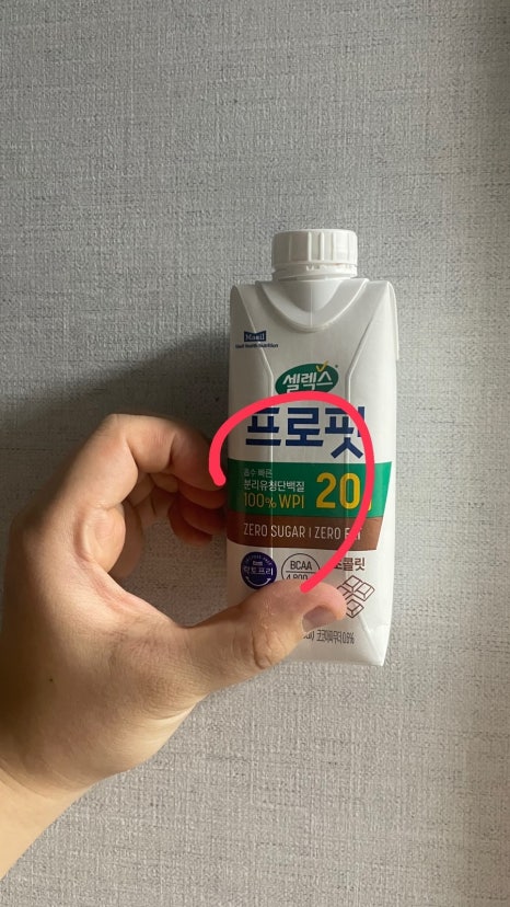 르파라디펜션 이미지