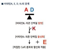 (주)제이엠바이오 이미지