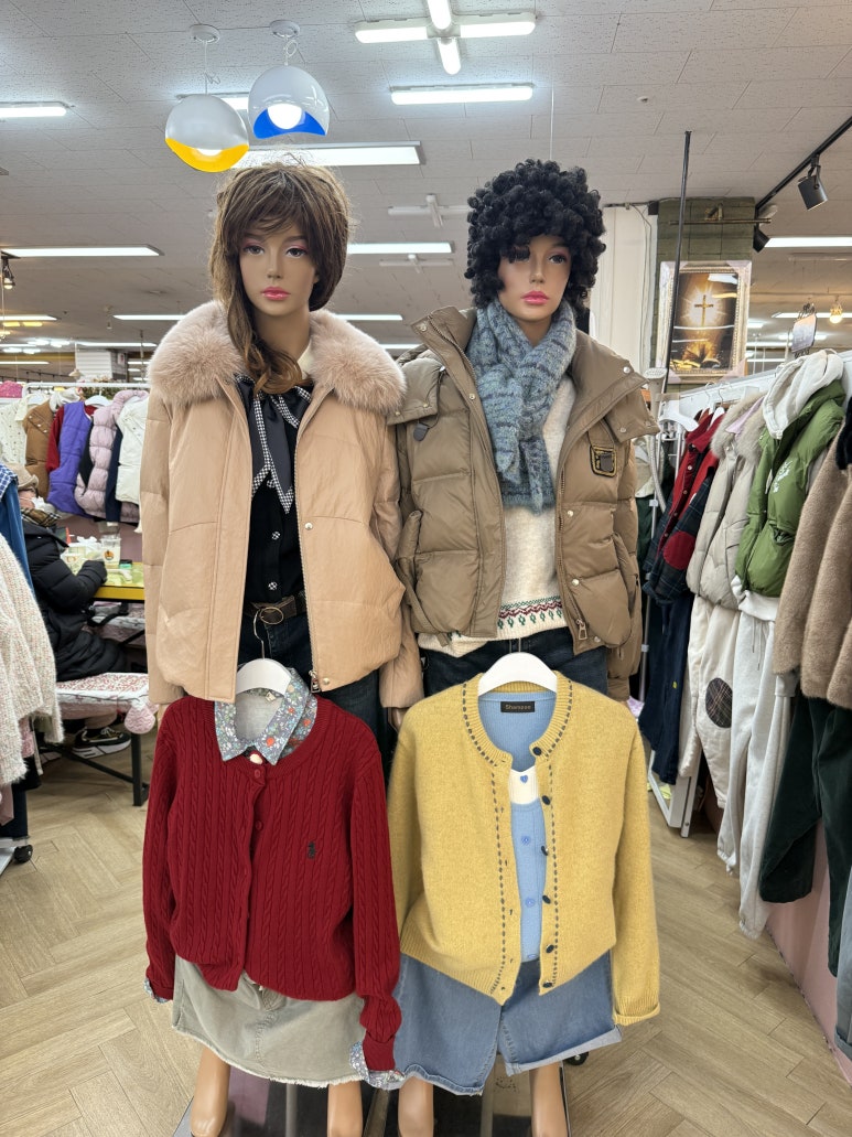 여성복단골 이미지
