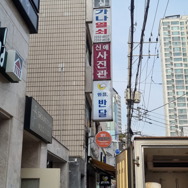 와플반달 이미지