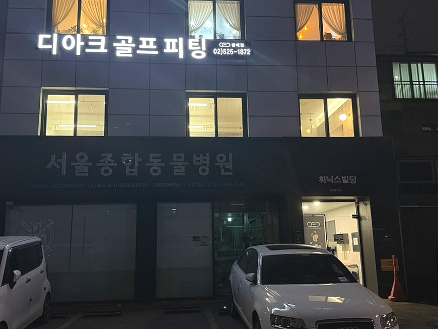 디아크골프랩 이미지