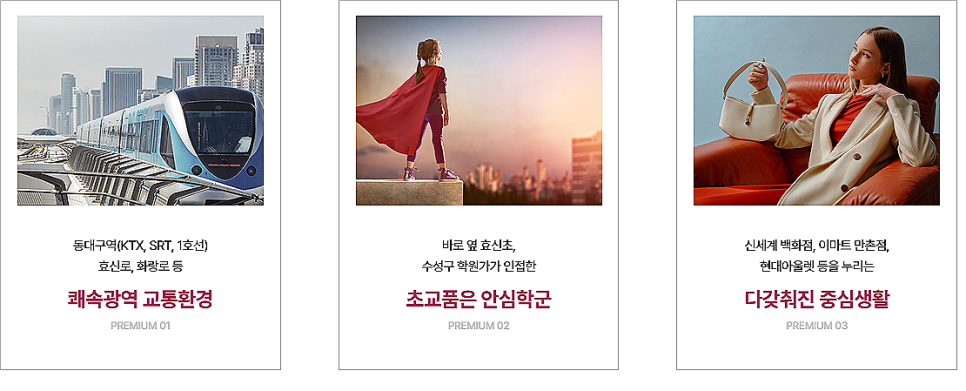 펠리스트 이미지