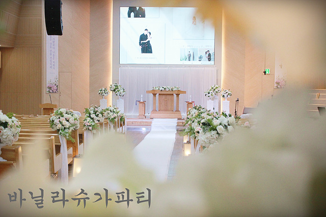 슈가파티 이미지