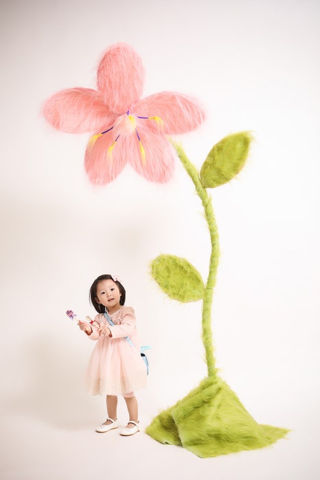 아이라임스튜디오 이미지