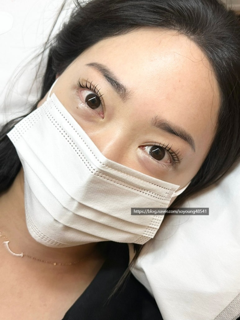 다뷰래쉬 이미지