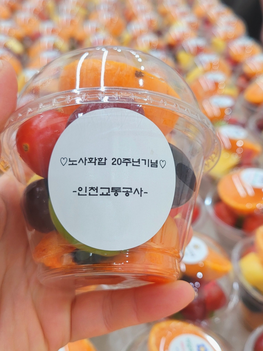 아담하다 이미지