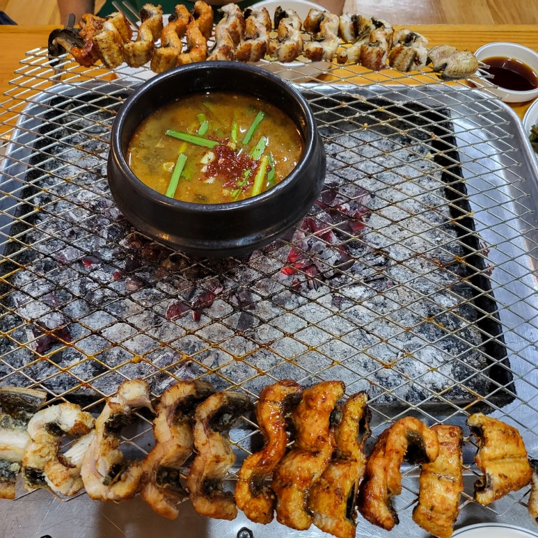 금강민물장어 사진 8