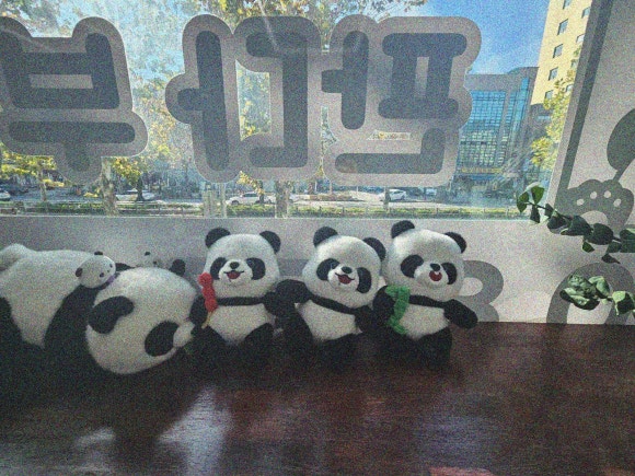 부동산202호 이미지