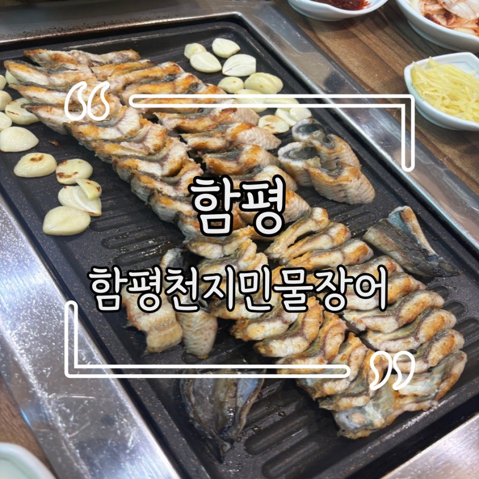 천지민물장어 이미지