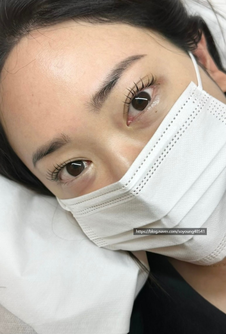 다비래쉬 이미지