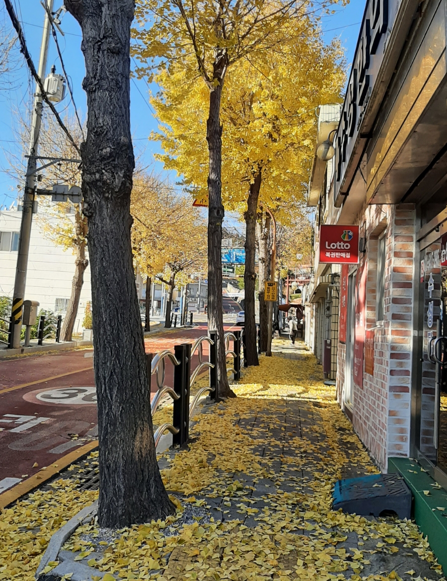 행운복권판매점 이미지