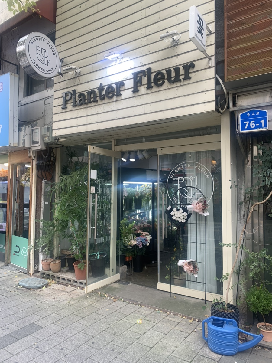 플랑떼플레르 이미지