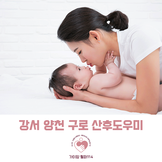 가이맘헬퍼114 이미지