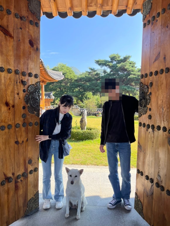 풍송재 이미지