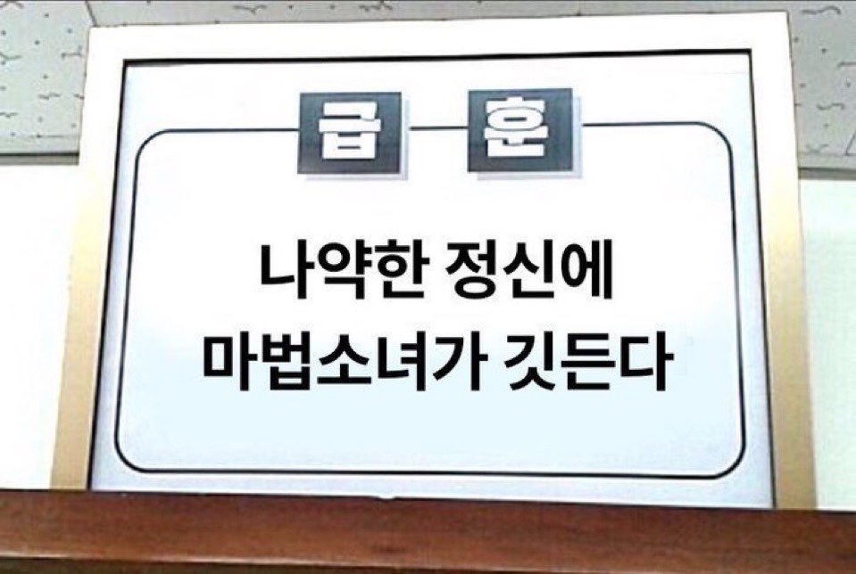 진아네 이미지