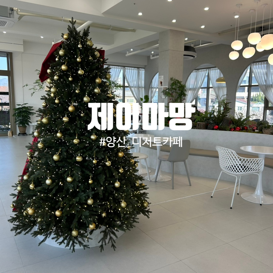 제이마망 이미지