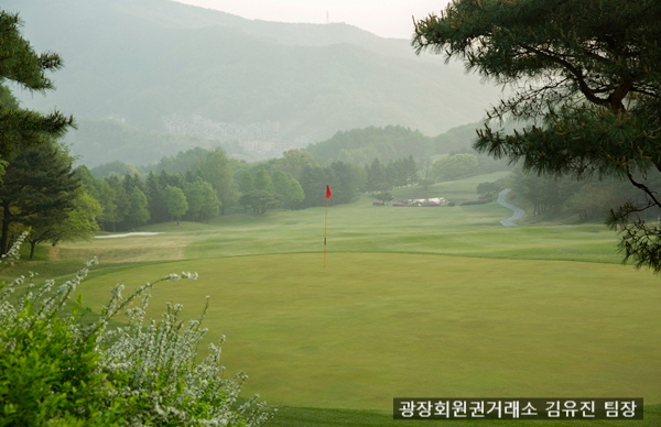 뉴서울 이미지