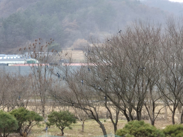 더존프롤로의원 이미지