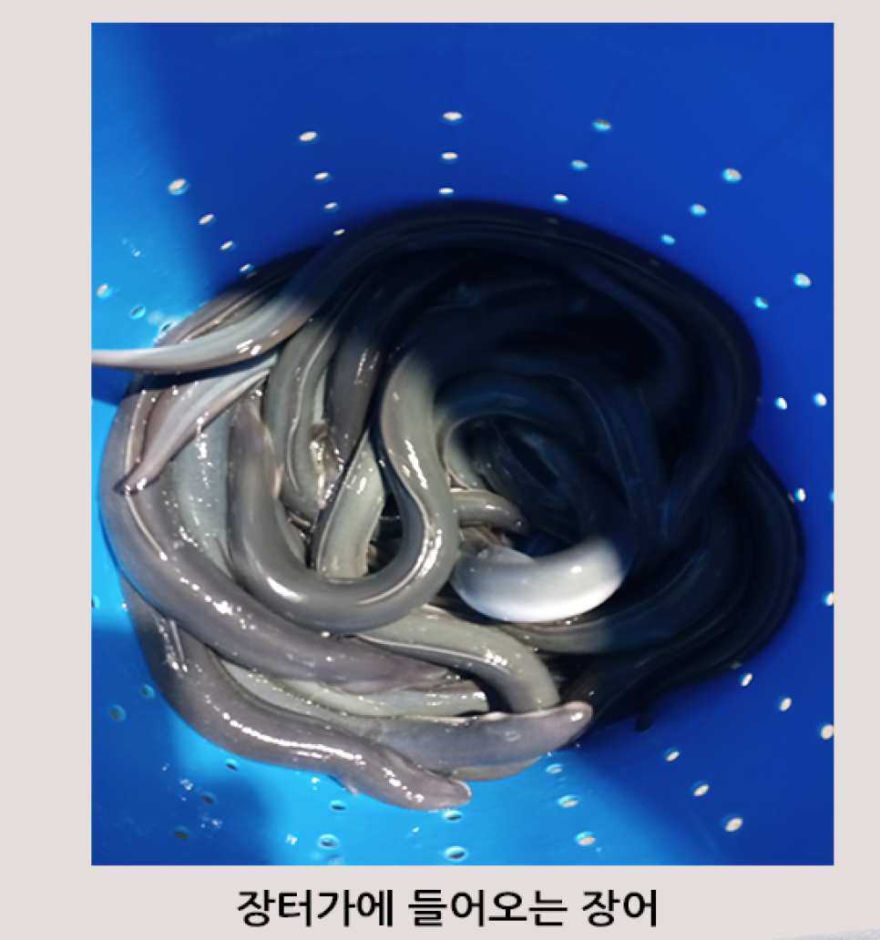 코만도숯불바베큐 이미지