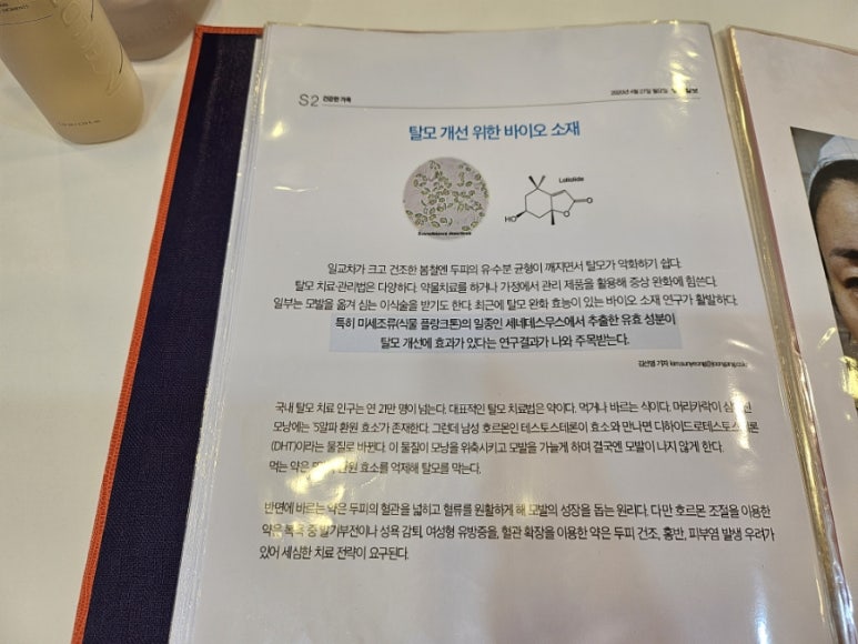 인셀덤샤인 이미지