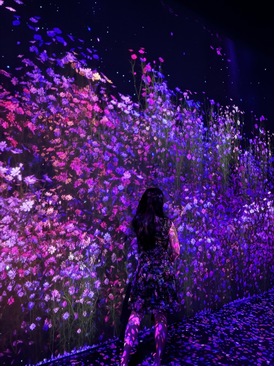 강릉 아르떼 뮤지엄: 디지털 아트와 자연의 조화, 할인 예약 꿀팁 — 사진 2
