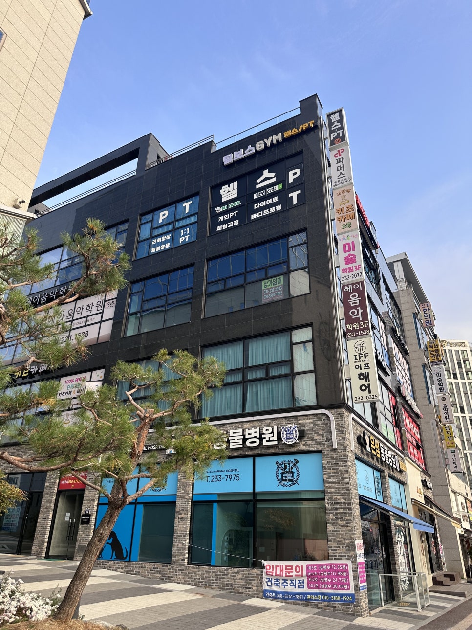 짐보스 이미지