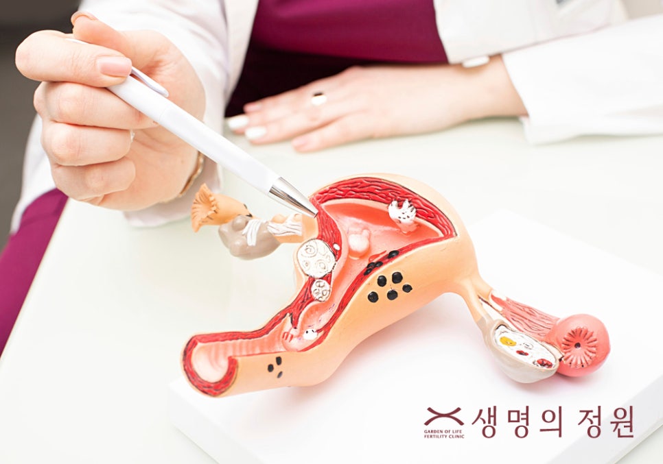 생명의정원여성의원 이미지