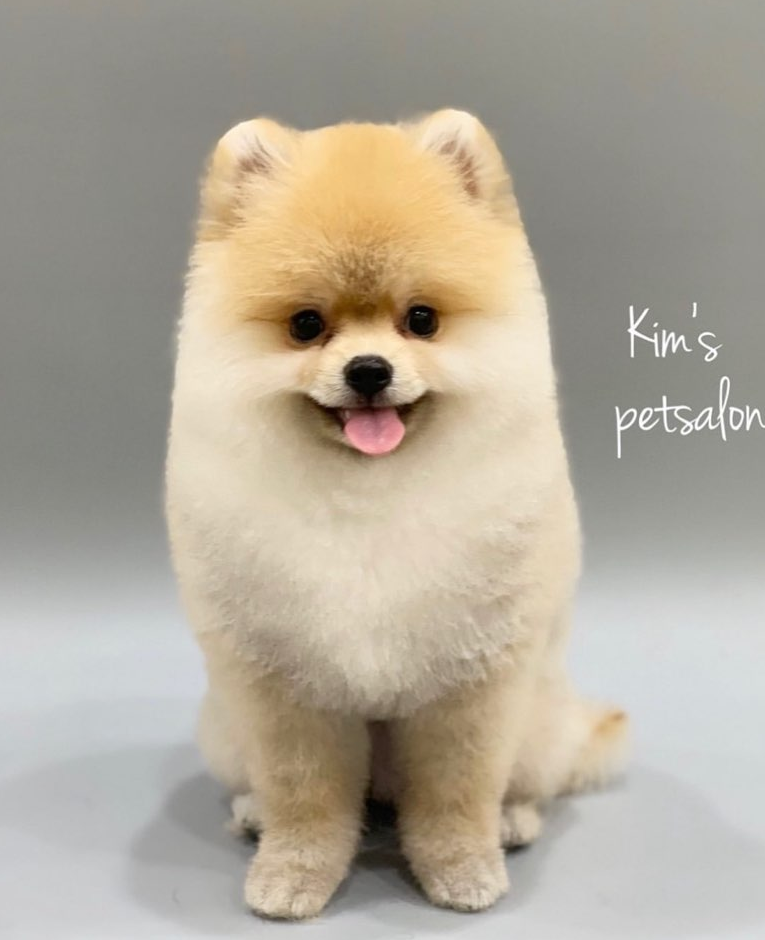 킴스살롱 이미지