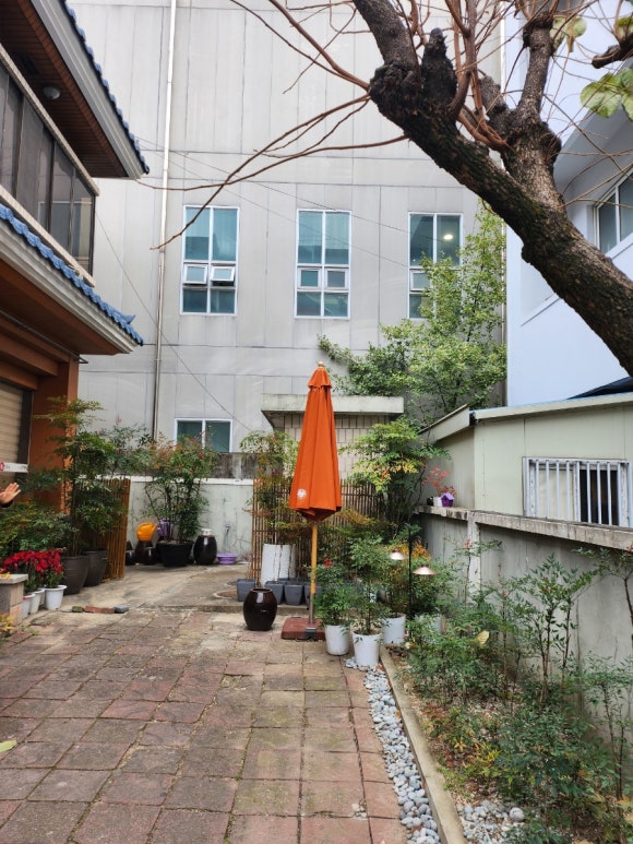 전원손칼국수 이미지