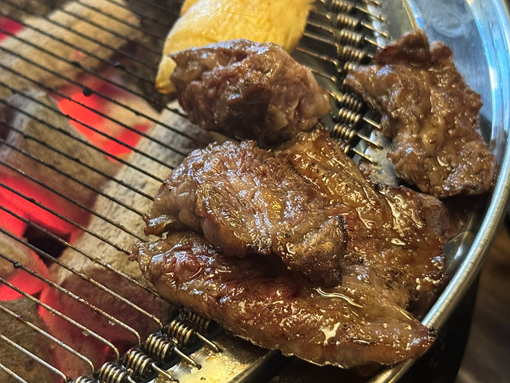 달빛고기 이미지