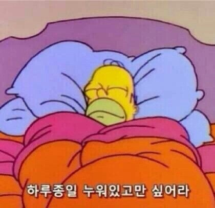 송고집왕족발 이미지