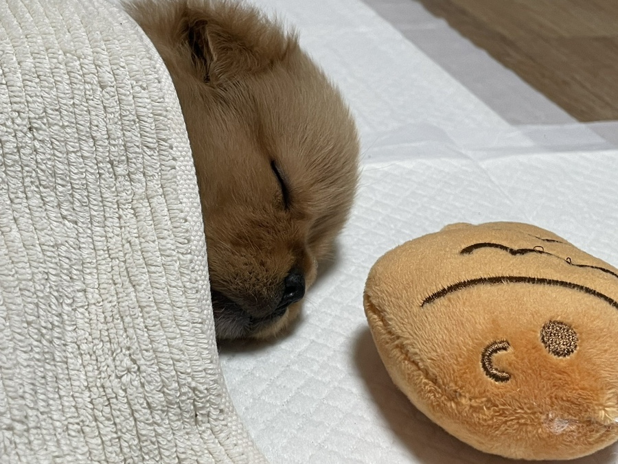 파랑 이미지