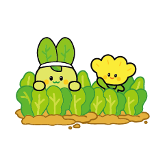 여수스티카 이미지
