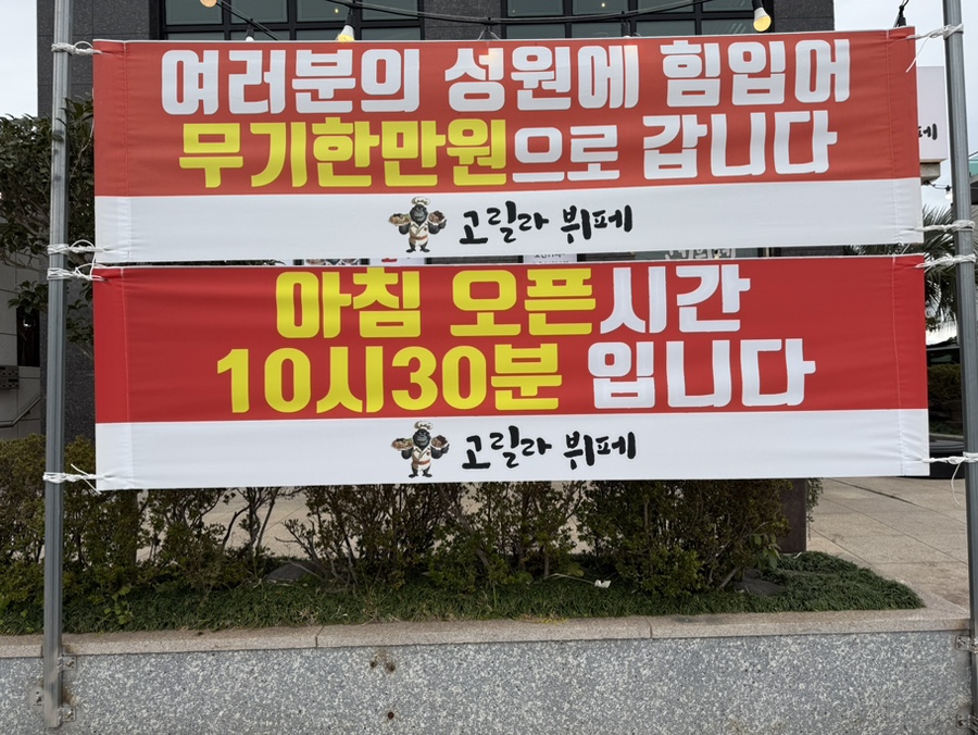 고릴라 뷔페 이미지