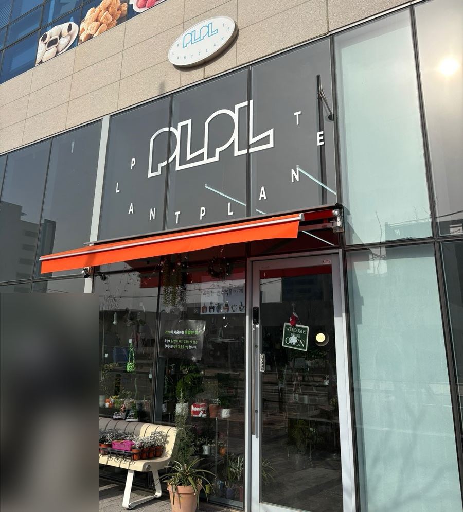 피엘피 이미지