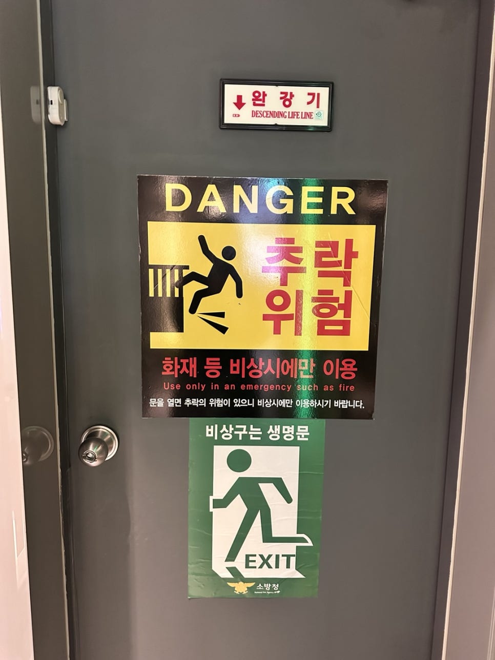 악쓰는하마코인노래연습장 이미지