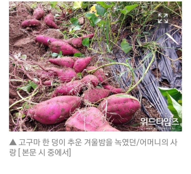 (주)동양환경건설 이미지