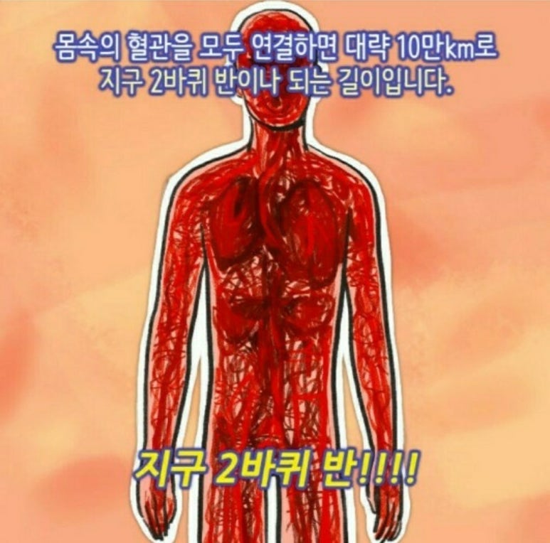 에버웰 이미지