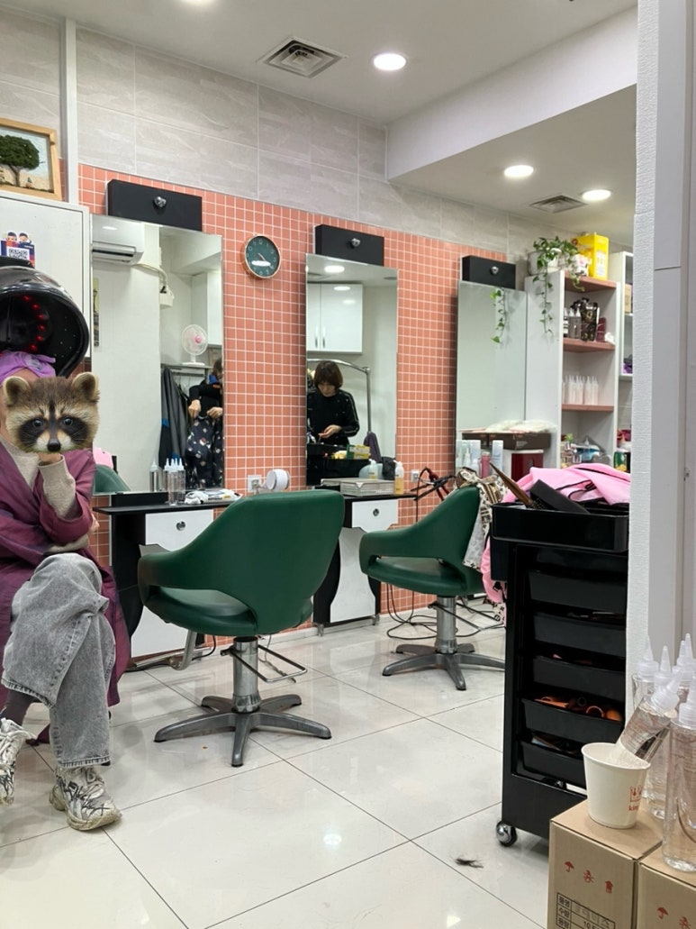 노랑머리헤어샵 이미지