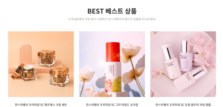 한스시스템 이미지