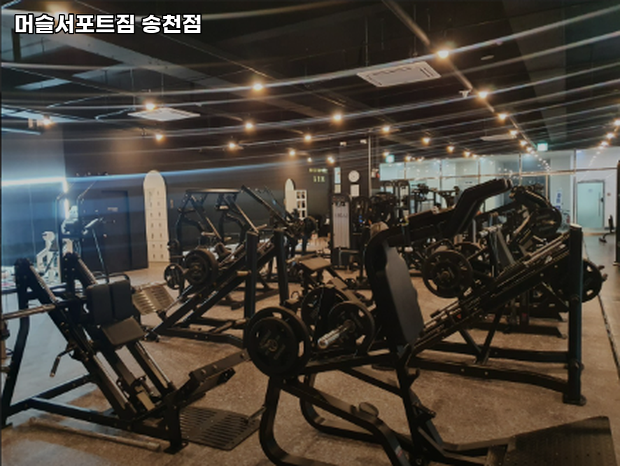 머슬서포트짐 이미지