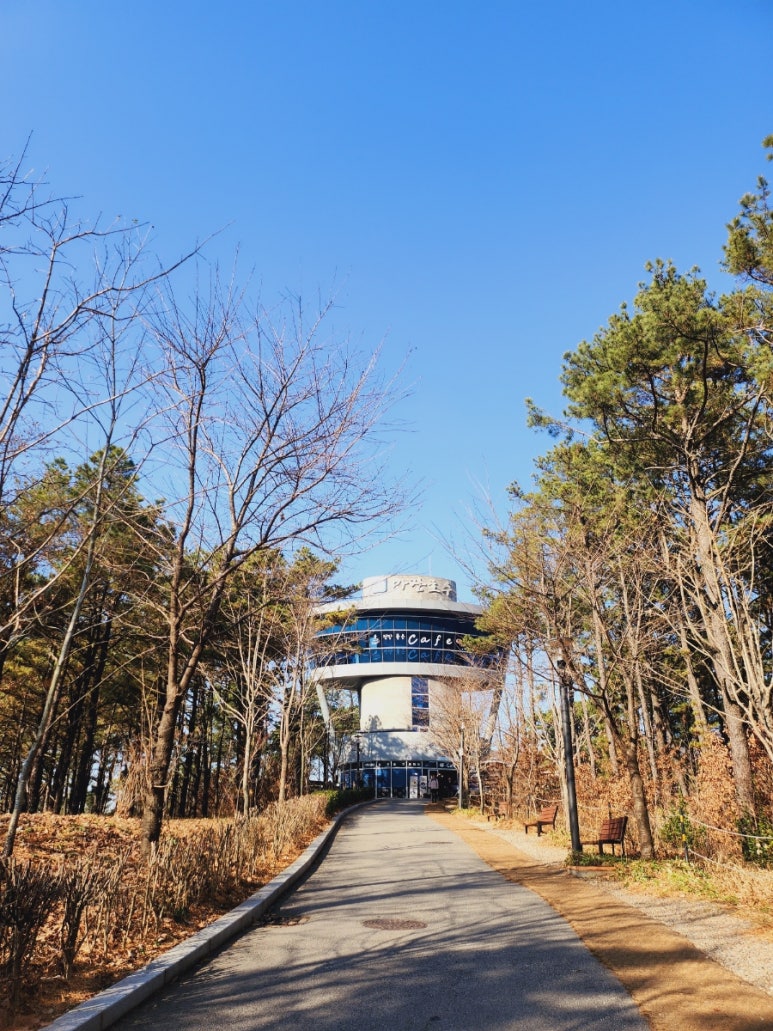 팔마장 이미지