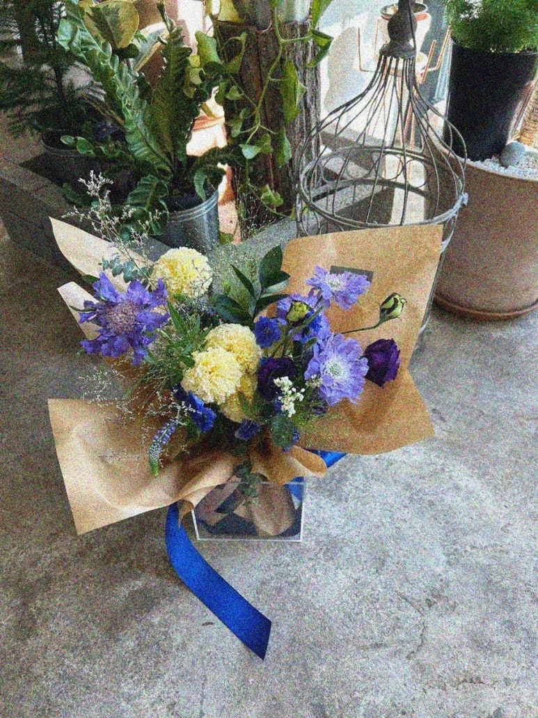 플로미스 이미지