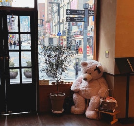 보노트리 이미지