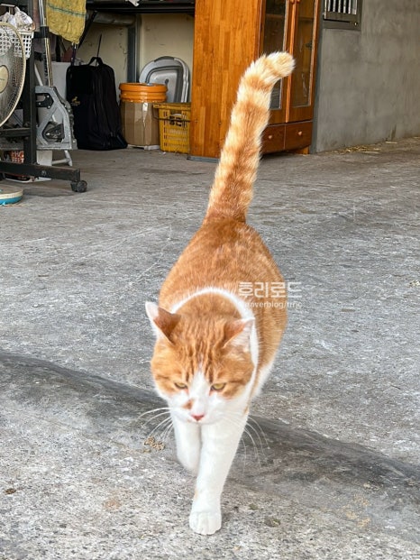 저스트홀스 이미지