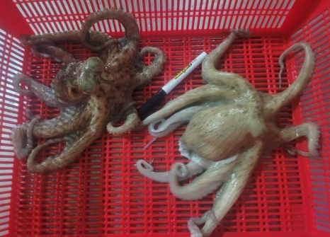 삼포수산 이미지