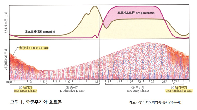 스마일한의원 이미지