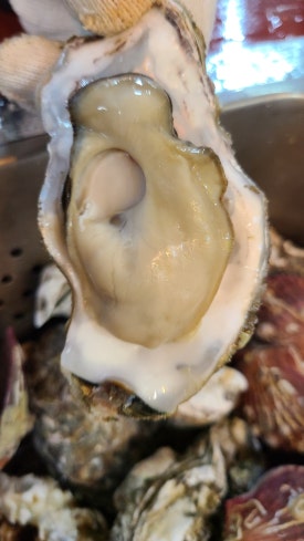 태상굴장어구이 이미지