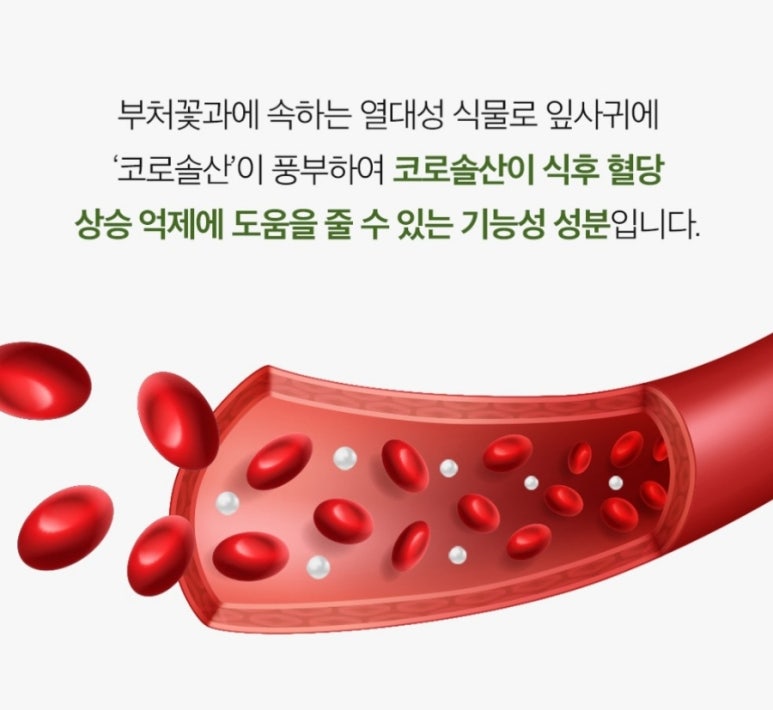 메가플러스 이미지