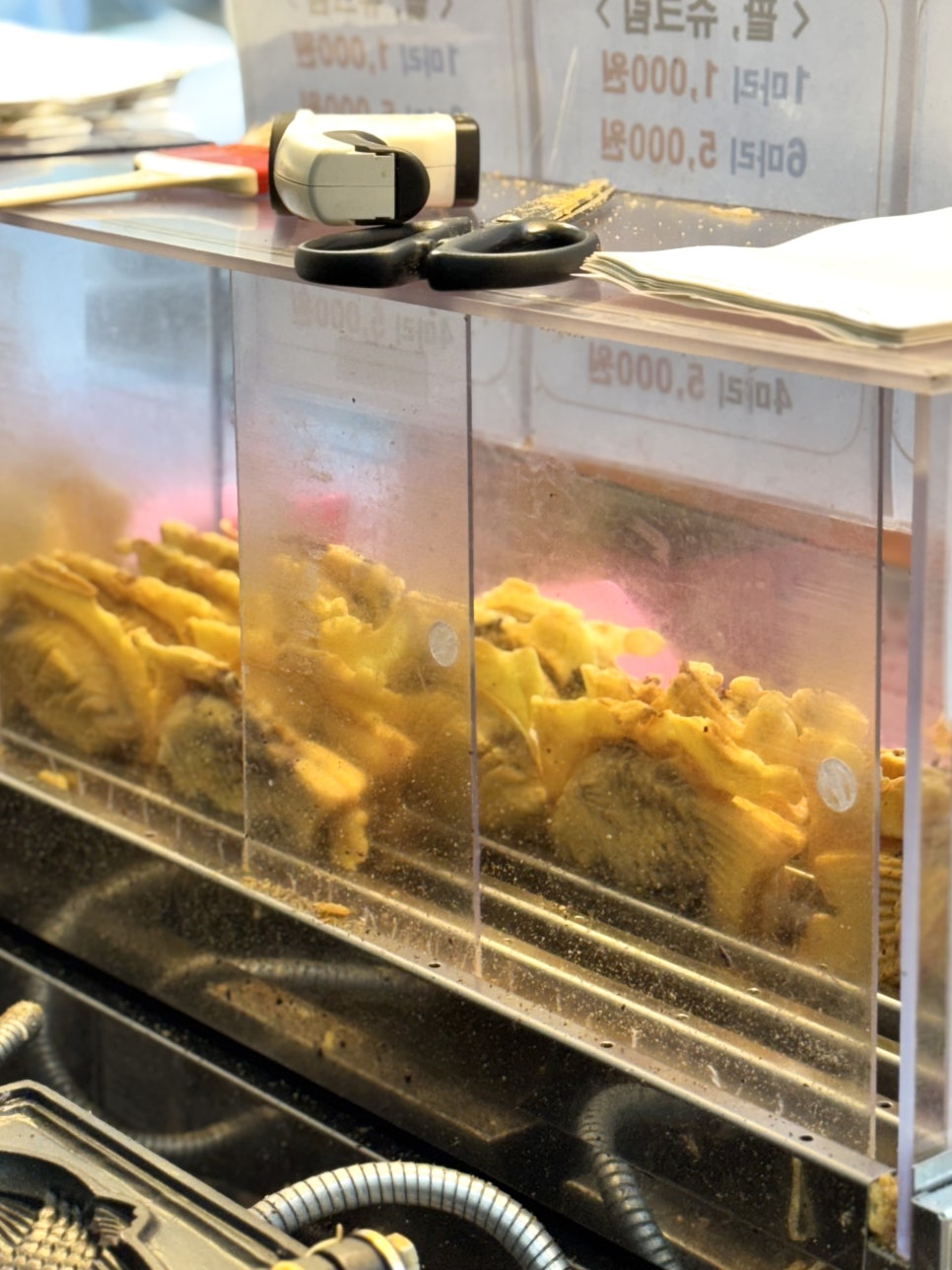 우리동네 과일과게 이미지